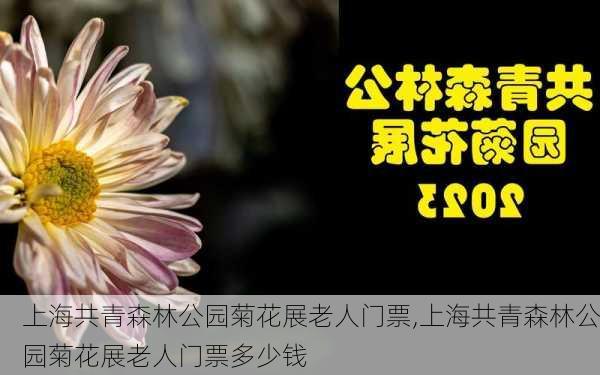 上海共青森林公园菊花展老人门票,上海共青森林公园菊花展老人门票多少钱