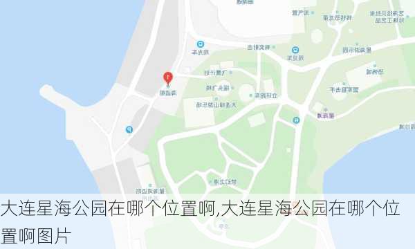 大连星海公园在哪个位置啊,大连星海公园在哪个位置啊图片