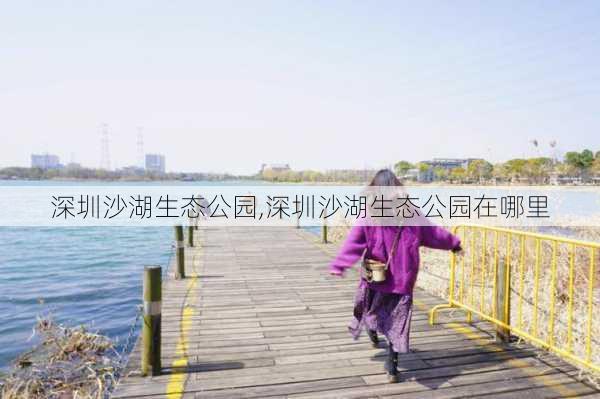 深圳沙湖生态公园,深圳沙湖生态公园在哪里