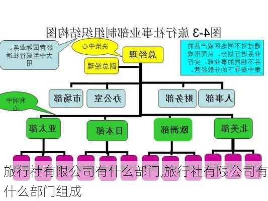 旅行社有限公司有什么部门,旅行社有限公司有什么部门组成