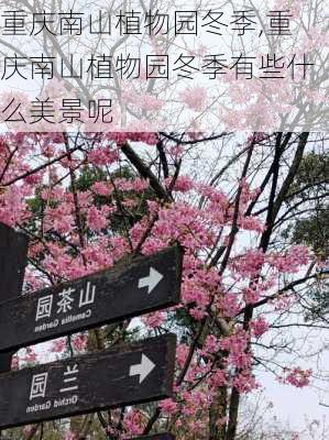 重庆南山植物园冬季,重庆南山植物园冬季有些什么美景呢