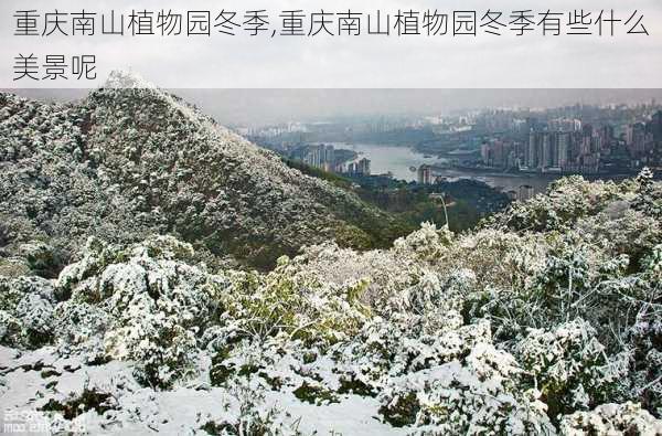 重庆南山植物园冬季,重庆南山植物园冬季有些什么美景呢