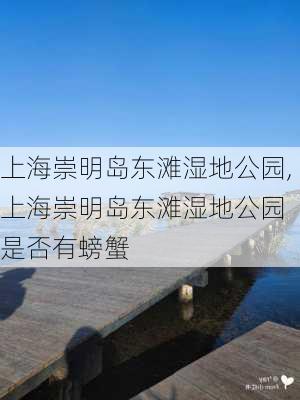 上海崇明岛东滩湿地公园,上海崇明岛东滩湿地公园 是否有螃蟹