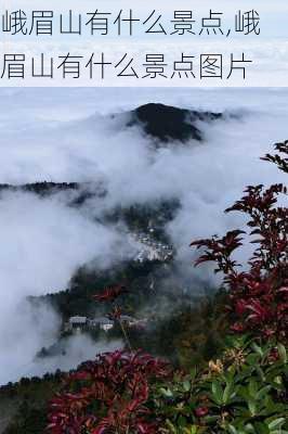 峨眉山有什么景点,峨眉山有什么景点图片