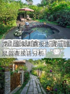 龙山温泉调查报告,龙山温泉调查报告分析