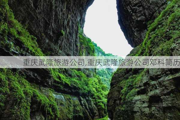 重庆武隆旅游公司,重庆武隆旅游公司邓科简历