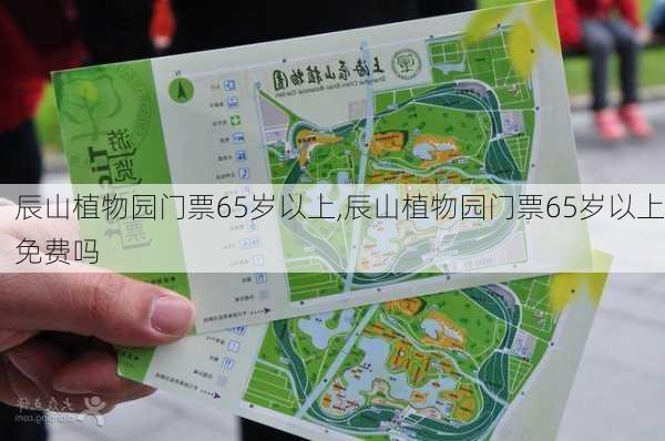 辰山植物园门票65岁以上,辰山植物园门票65岁以上免费吗