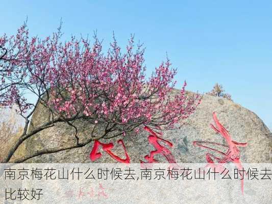 南京梅花山什么时候去,南京梅花山什么时候去比较好