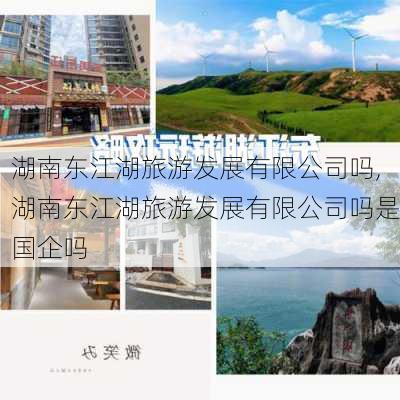 湖南东江湖旅游发展有限公司吗,湖南东江湖旅游发展有限公司吗是国企吗