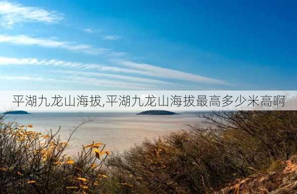 平湖九龙山海拔,平湖九龙山海拔最高多少米高啊