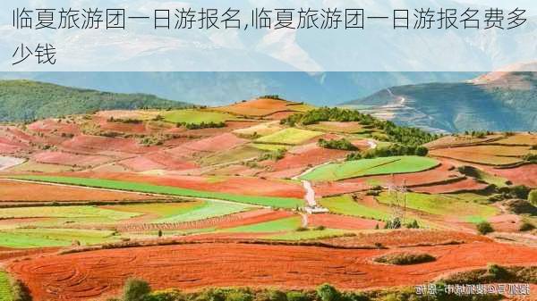 临夏旅游团一日游报名,临夏旅游团一日游报名费多少钱