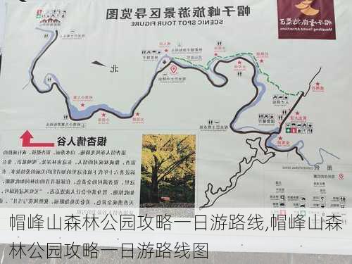 帽峰山森林公园攻略一日游路线,帽峰山森林公园攻略一日游路线图