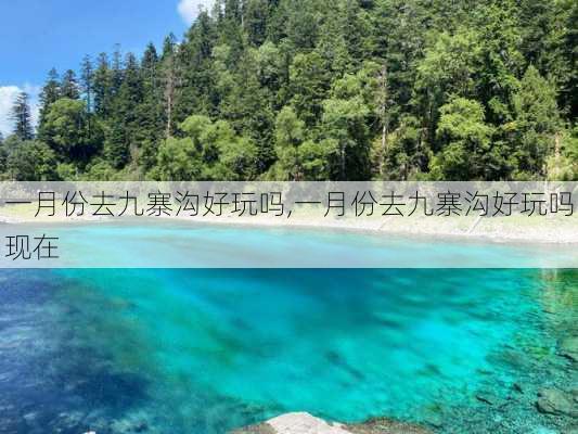 一月份去九寨沟好玩吗,一月份去九寨沟好玩吗现在