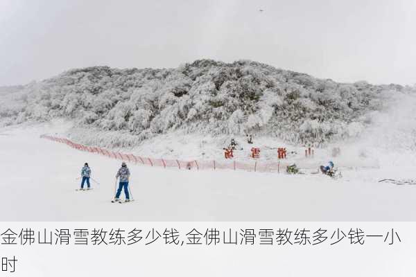 金佛山滑雪教练多少钱,金佛山滑雪教练多少钱一小时