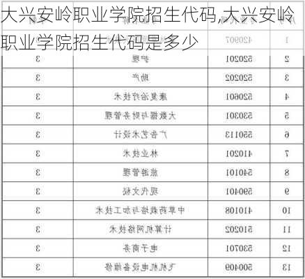 大兴安岭职业学院招生代码,大兴安岭职业学院招生代码是多少