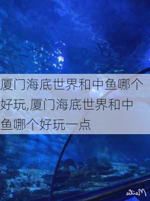 厦门海底世界和中鱼哪个好玩,厦门海底世界和中鱼哪个好玩一点