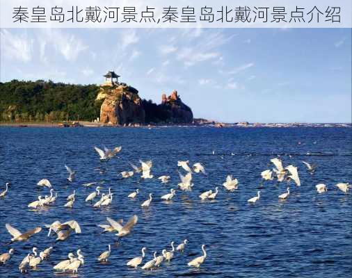 秦皇岛北戴河景点,秦皇岛北戴河景点介绍