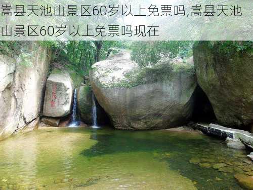 嵩县天池山景区60岁以上免票吗,嵩县天池山景区60岁以上免票吗现在