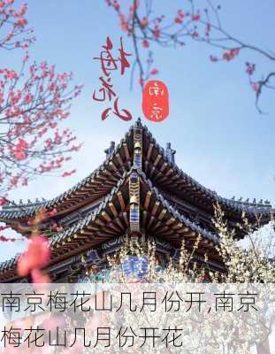 南京梅花山几月份开,南京梅花山几月份开花