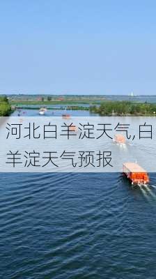 河北白羊淀天气,白羊淀天气预报