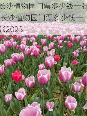 长沙植物园门票多少钱一张,长沙植物园门票多少钱一张2023