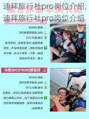 迪拜旅行社pro岗位介绍,迪拜旅行社pro岗位介绍