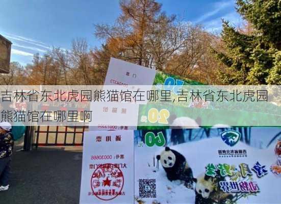 吉林省东北虎园熊猫馆在哪里,吉林省东北虎园熊猫馆在哪里啊