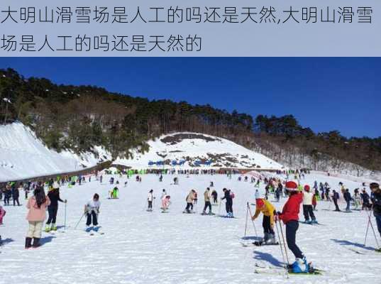 大明山滑雪场是人工的吗还是天然,大明山滑雪场是人工的吗还是天然的