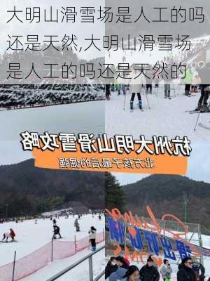 大明山滑雪场是人工的吗还是天然,大明山滑雪场是人工的吗还是天然的