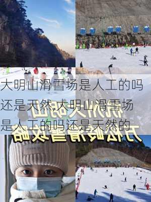 大明山滑雪场是人工的吗还是天然,大明山滑雪场是人工的吗还是天然的