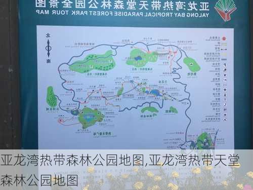 亚龙湾热带森林公园地图,亚龙湾热带天堂森林公园地图