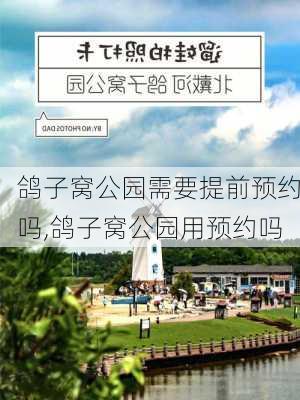 鸽子窝公园需要提前预约吗,鸽子窝公园用预约吗