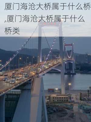 厦门海沧大桥属于什么桥,厦门海沧大桥属于什么桥类