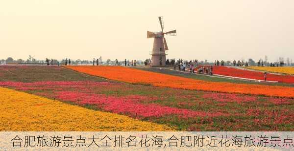 合肥旅游景点大全排名花海,合肥附近花海旅游景点