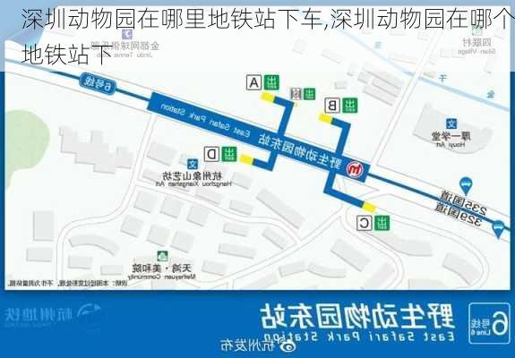 深圳动物园在哪里地铁站下车,深圳动物园在哪个地铁站下