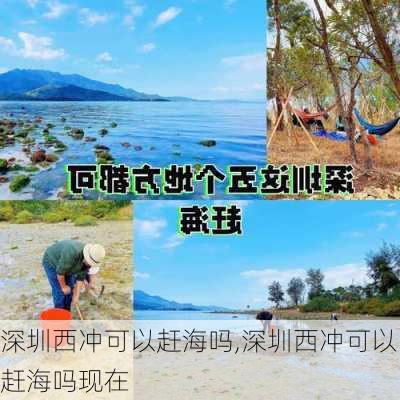 深圳西冲可以赶海吗,深圳西冲可以赶海吗现在