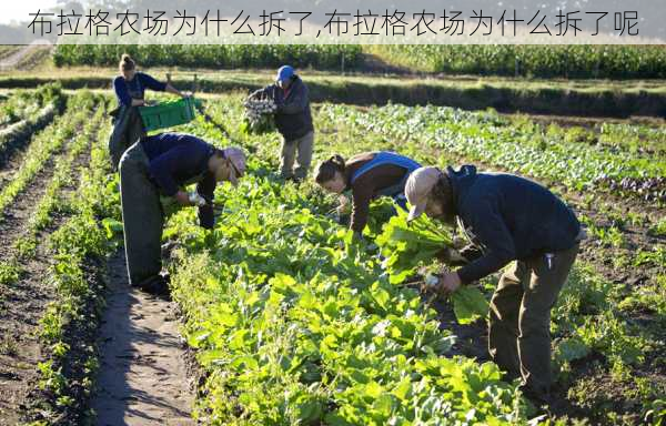 布拉格农场为什么拆了,布拉格农场为什么拆了呢