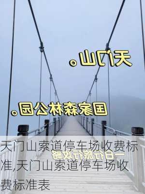 天门山索道停车场收费标准,天门山索道停车场收费标准表