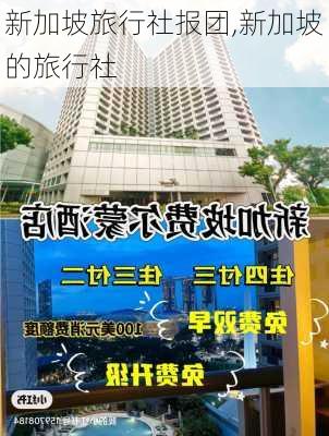 新加坡旅行社报团,新加坡的旅行社