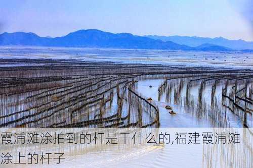 霞浦滩涂拍到的杆是干什么的,福建霞浦滩涂上的杆子