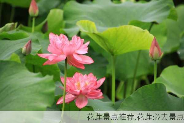 花莲景点推荐,花莲必去景点