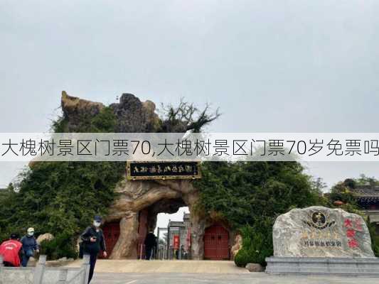 大槐树景区门票70,大槐树景区门票70岁免票吗