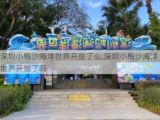 深圳小梅沙海洋世界开放了么,深圳小梅沙海洋世界开放了吗