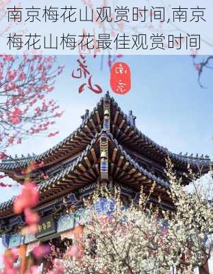 南京梅花山观赏时间,南京梅花山梅花最佳观赏时间