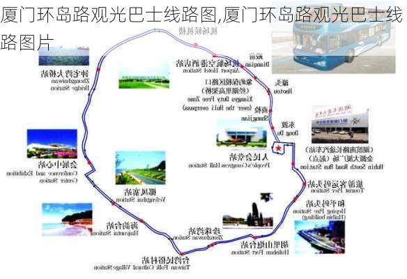 厦门环岛路观光巴士线路图,厦门环岛路观光巴士线路图片