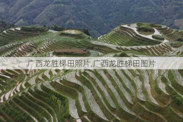 广西龙胜梯田照片,广西龙胜梯田图片