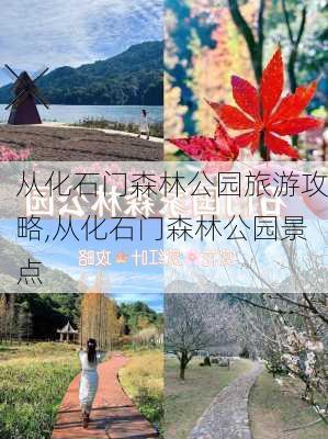 从化石门森林公园旅游攻略,从化石门森林公园景点