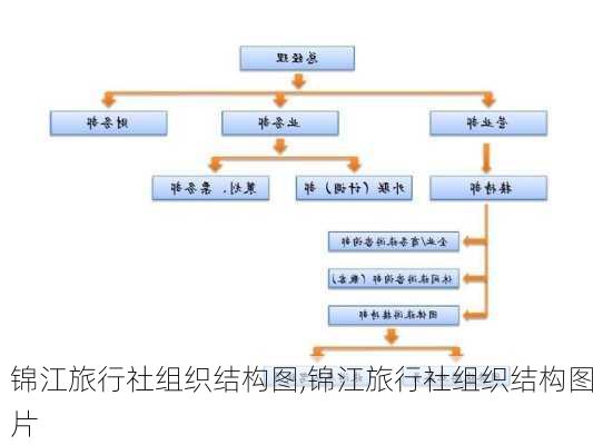 锦江旅行社组织结构图,锦江旅行社组织结构图片