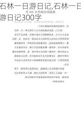 石林一日游日记,石林一日游日记300字