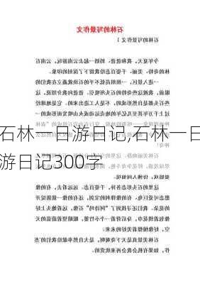 石林一日游日记,石林一日游日记300字